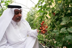 فرصت‌های پیش روی ایران برای صادرات موادغذایی به قطر