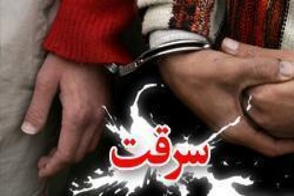 دستگیری اعضای باند خانوادگی جیب بری در مهران 