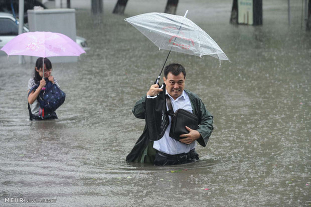 İnsan ve doğa ilişkisi