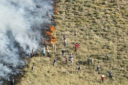 آتش سوزی در کوههای خامی و نارک پس از روزها تلاش مهار شد