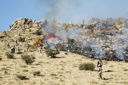 ارتفاعات «باغ فردوس» گچساران دچار حریق شد/تلاش برای مهار آتش سوزی