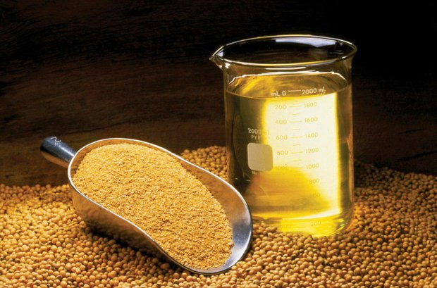 FAO assists Iran to boost oil seed production 