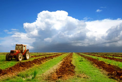 ۱۴ طرح ملی در مدل توسعه پایدار بخش کشاورزی اجرا می شود