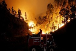 Iran condoles deaths in Portugal wildfire