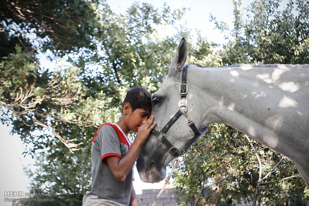 Horse jumping race on Quds Day