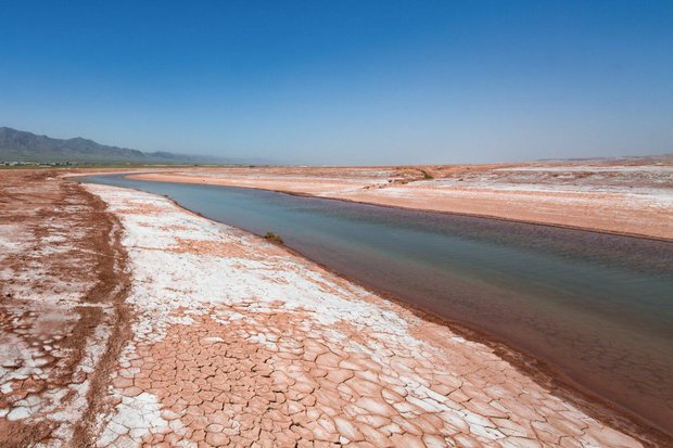 Nature's magic in Eshtehard Desert