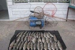 کشف ۸۶۰۰ قطعه شکار و صید غیرمجاز در آذربایجان غربی