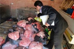 بیش از ۳ تن فرآورده‌های خام دامی غیربهداشتی در خوزستان معدوم شد