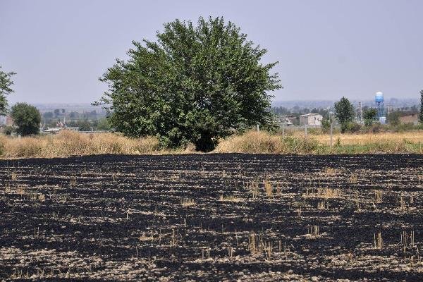 آتش سوزی دهلران مهار شد/ خسارت به ۲۵ هکتار از مراتع شهرستان