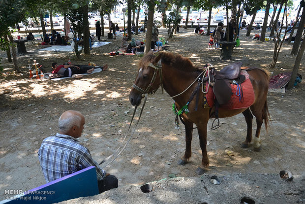 İran’daki yaz sezonu tatilinden kareler