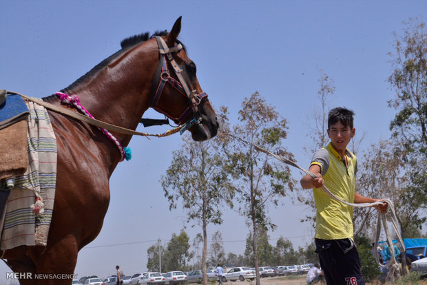 Summer horse racing in Bandar Torkaman