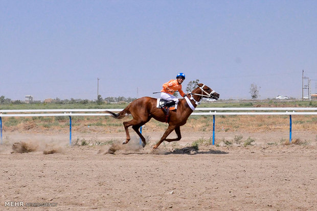 Summer horse racing in Bandar Torkaman