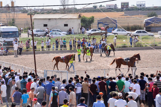 Summer horse racing in Bandar Torkaman