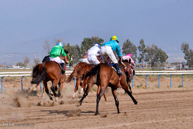 Summer horse racing in Bandar Torkaman