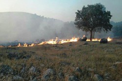 جنگل‌های شهرستان دنا در آتش می سوزد/ حریق در مراتع منطقه دارشاهی