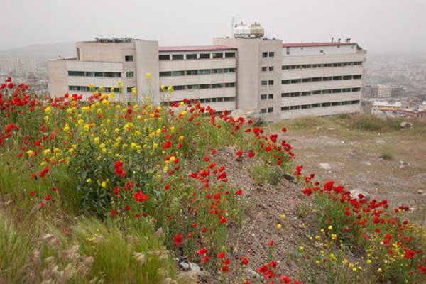 بیمارستان محک ۱۰ ساله شد