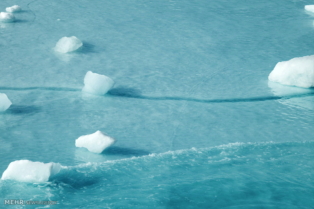 آب شدن یخ های قطب شمال