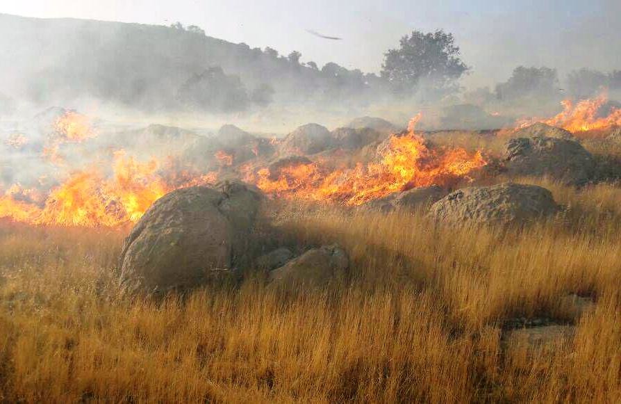 آتش‌سوزی مزارع منطقه «ایدنک» در شهرستان لنده مهار شد