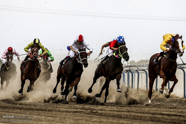۶۳ راس اسب در هفته یازدهم کورس تابستانه بندرترکمن رقابت می‌کنند