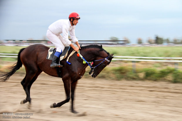 Horse racing in Bandar Torkaman