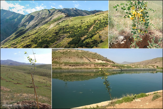 شناسایی ۹۴ هزار هکتار اراضی ملی در شهرستان رزن 