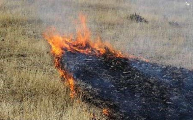 ۲۶۰ هکتار از جنگل های ارسباران در آتش سوخت