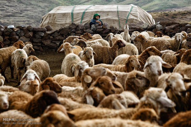 زندگی عشایر مغان در دامنه سبلان