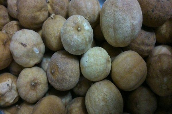 کشف ۱۱۰۰ کیلوگرم لیمو عمانی قاچاق در همدان