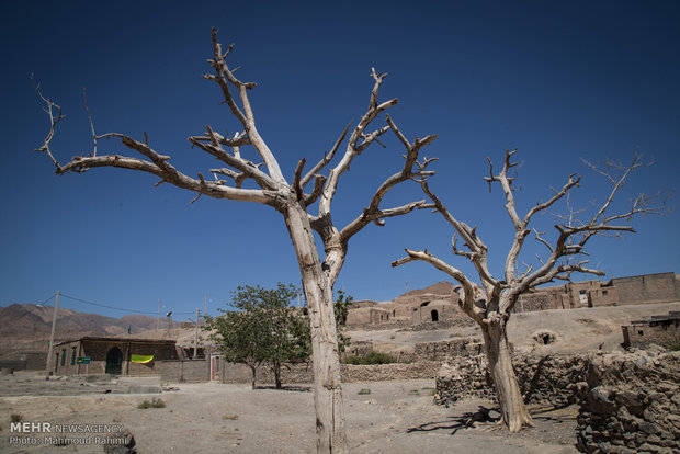 بحران خشکسالی در بیشتر مناطق روستایی مهریز جدی است