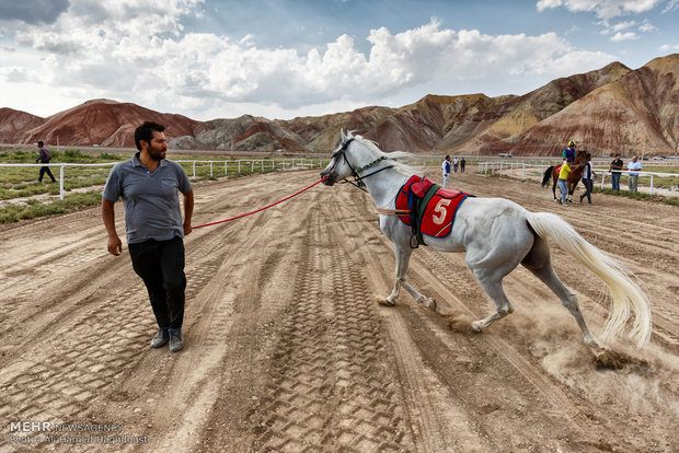Horse racing in East Azerbaijan