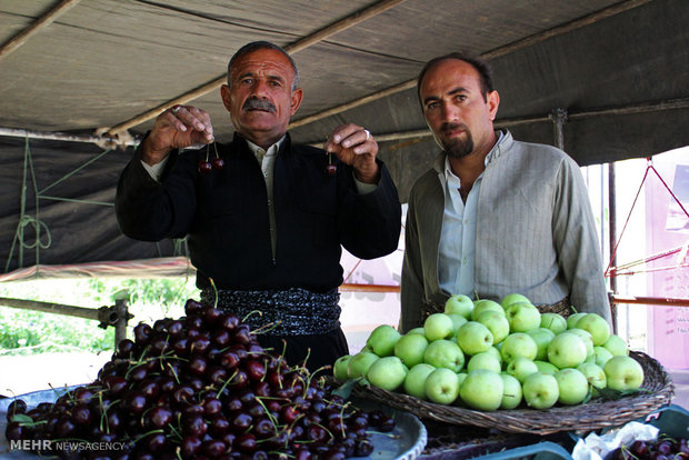 دومین جشنواره ی ملی گیلاس اشنویه