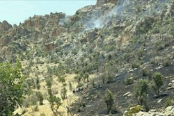 شناسایی نقاط بحرانی آتش‌سوزی در عرصه‌های طبیعی بروجرد