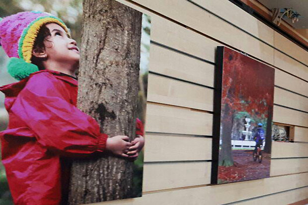 برگزاری نمایشگاه ملی عکس مدارس طبیعت در اراک