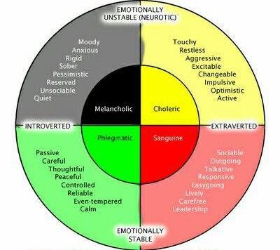 Temperament traits sanguine 15 Benefits