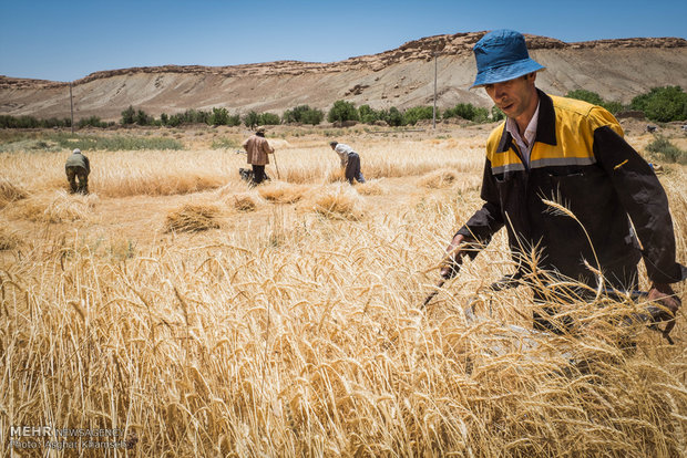 Iran, Russia, Kazakhstan reach agreement on grain trade