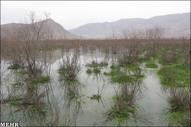 بارندگی های امشال تاثیری بر دریاچه های فارس نداشته است/پریشان  خشک و بختگان نیز شوره زار