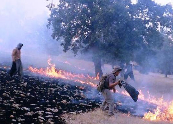 آتش سوزی در مراتع گردنه قوچک لواسان