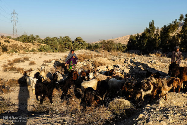 A view of daily life in Iran – 69