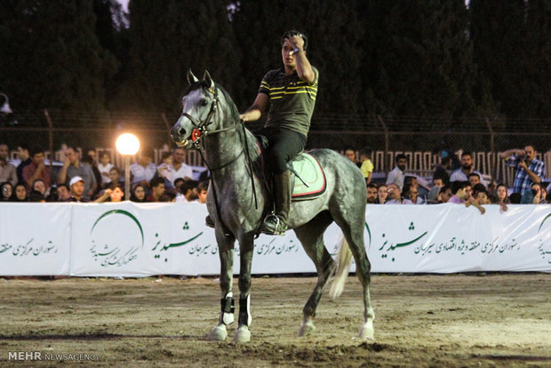 Native horse festival in Iranian Plateau