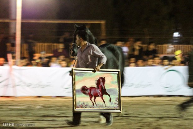 Native horse festival in Iranian Plateau