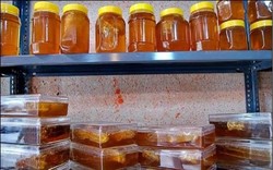 افزایش تولید عسل در استان ایلام