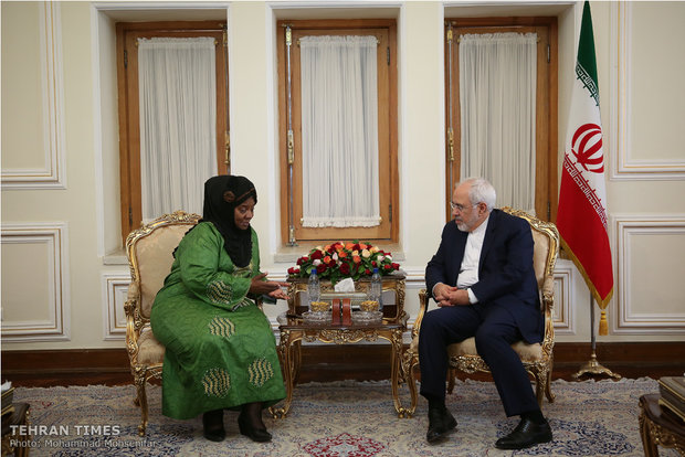 Zarif meets S. African, Serbian officials