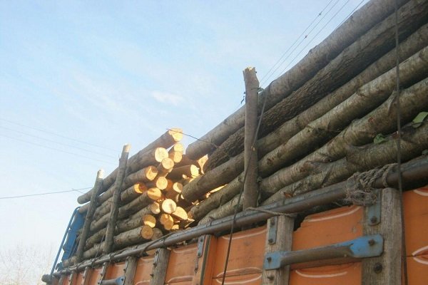 کشف ۶ تن چوب جنگلی قاچاق در گلستان/ ۲ نفر بازداشت شدند