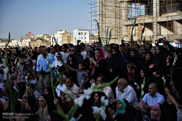 گلباران حرم مطهر رضوی