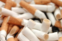 جمع‌آوری ۲۰ کیلو ته سیگار در گوشه پارک ملت/درخواست از مدیران شهری