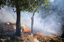 همکاری ایران در اطفاء حریق جنگلهای گرجستان