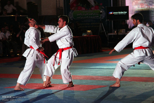 Intl. unity, friendship karate cup opens