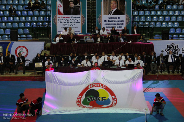 Intl. unity, friendship karate cup opens