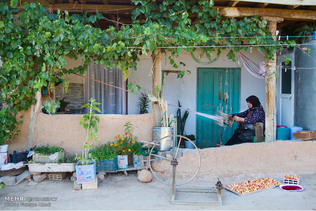 زنان روستا با وجود کار فراوان در فصل برداشت محصول ، کار تنه یا چادر شب بافی را ترک نمیکنند.