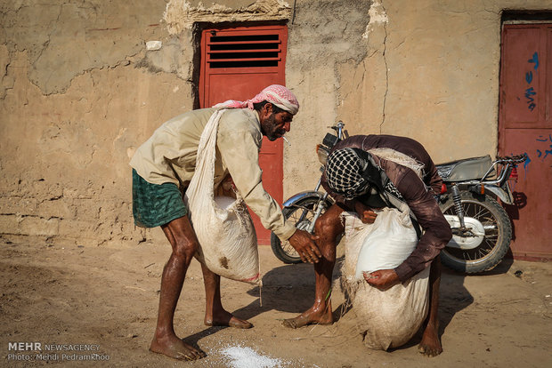 نشاء برنج در شهرستان کارون